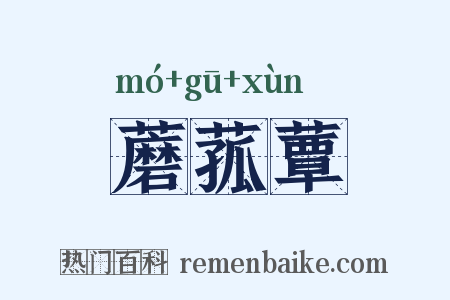 蘑菰蕈是什么意思的图片